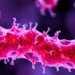 "Biofilm resistente agli antibiotici nella malattia di Lyme: nuova scoperta scientifica."