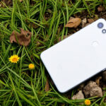 "Anteprima esclusiva delle immagini e specifiche di Pixel 10, 10 Pro e 10 Pro XL prima del lancio."