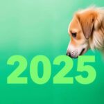 "Bonus animali domestici 2025: requisiti e chi può richiederlo"