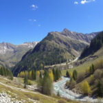 "Rifiuti abbandonati nei bidoni solidali a Canale d’Agordo, simbolo dell'inciviltà che offende la montagna."