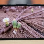 "Google Pixel 10 Pro XL: novità e miglioramenti nel design e nelle funzionalità"