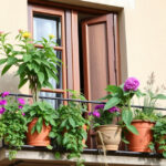 "Guida alla scelta di piante da balcone resistenti al caldo estivo con consigli pratici"