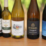"Vigneti europei da esplorare nell'autunno 2025: Bordeaux, Eger e gemme vinicole nascoste"