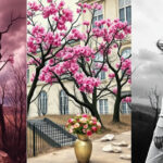 "Mostre artistiche 2025: esplora il connubio tra fotografia e espressionismo con opere di Galliani e Klein."