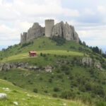 "Riserva naturale delle Baragge: esplora la savana piemontese tra storia e natura."