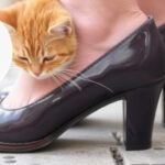 "Rimedi naturali per eliminare i cattivi odori dalle scarpe con bustine di tè."