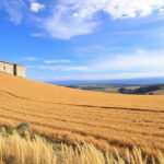 "Scadenza rottamazione cartelle 30 aprile 2026: ultime opportunità per il saldo debiti."