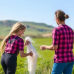 "Guida all'uso efficace dell'aspirapolvere per rimuovere il doppio della polvere"