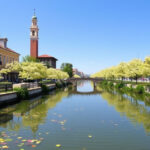 "Fioritura dei ciliegi alla Venaria Reale: un'esperienza magica in Italia"