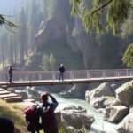 "Vista del ponte sospeso a 60 metri nel bosco della Val di Rabbi, un'esperienza avventurosa immersa nella natura."